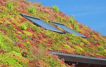 Lower Mannington living roof systems