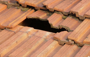 roof repair Lower Mannington, Dorset