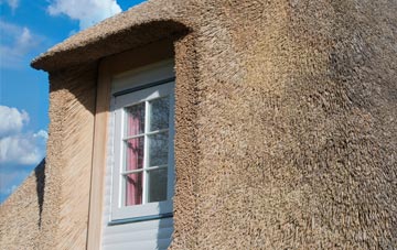 Lower Mannington thatch roof disadvantages